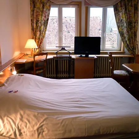 Hotel Logis Hôtel-restaurant D'imsthal 3*