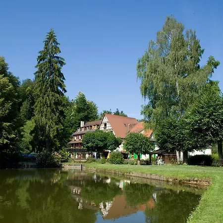 Logis Hôtel-restaurant D'imsthal 3* La Petite-Pierre