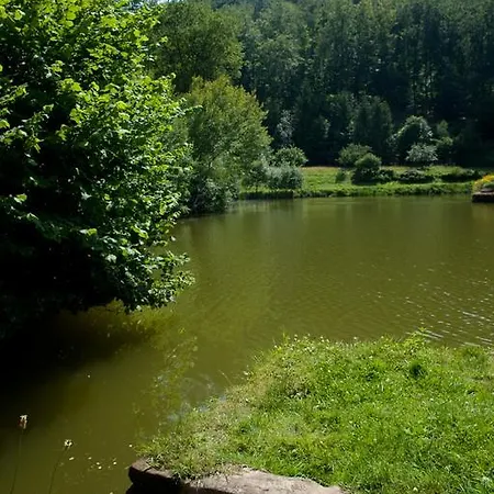 Hotel Logis Hôtel-restaurant D'imsthal