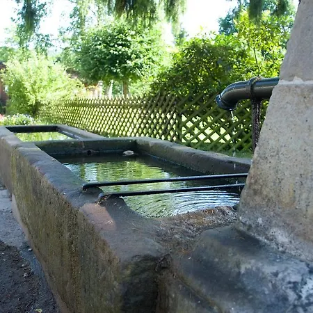 Logis Hôtel-restaurant D'imsthal Hotel La Petite-Pierre