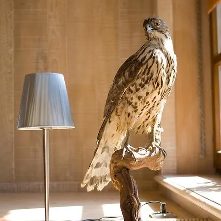 Hotel Logis Hôtel-restaurant D'imsthal