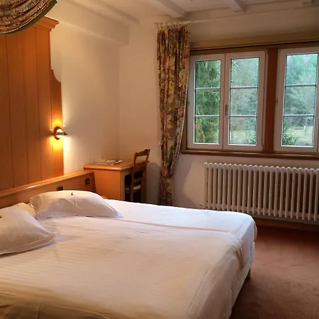 Logis Hôtel-restaurant D'imsthal Hotel