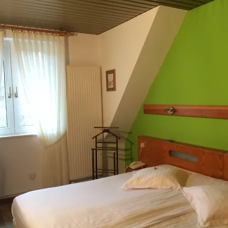 Hotel Logis Hôtel-restaurant D'imsthal 3*