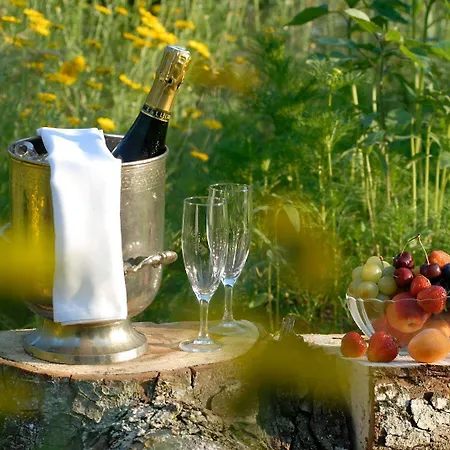 Hotel Logis Hôtel-restaurant D'imsthal 3*