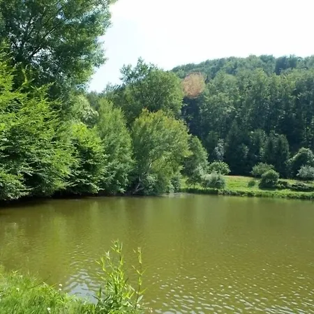 D'imsthal