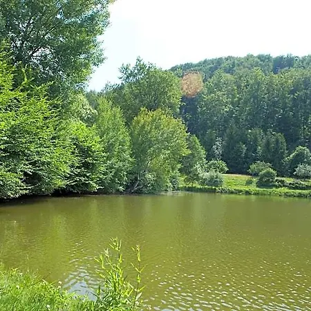 D'imsthal 3*