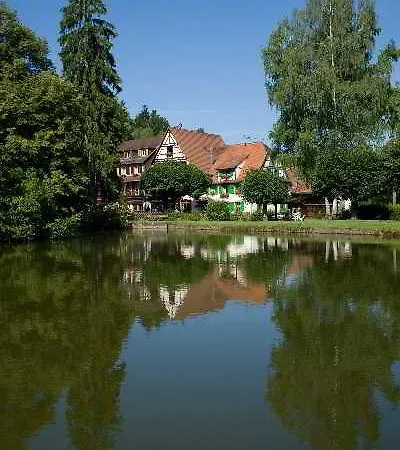 Logis Hotel-restaurant D'imsthal ラ・プティット・ピエール