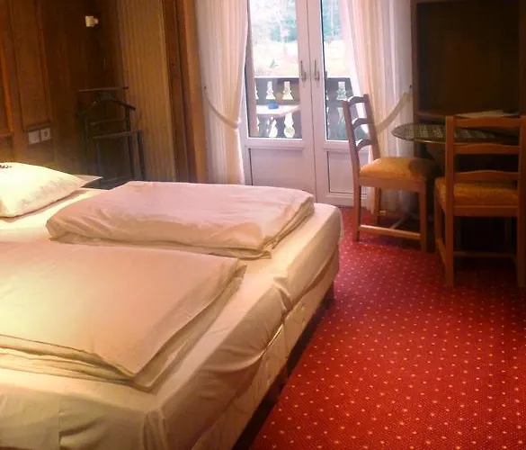 Logis Hotel-restaurant D'imsthal 酒店