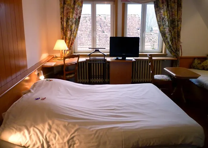 酒店 Logis Hotel-restaurant D'imsthal 3*