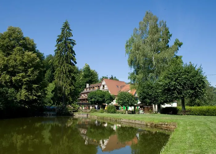 Logis Hotel-restaurant D'imsthal 3* ラ・プティット・ピエール