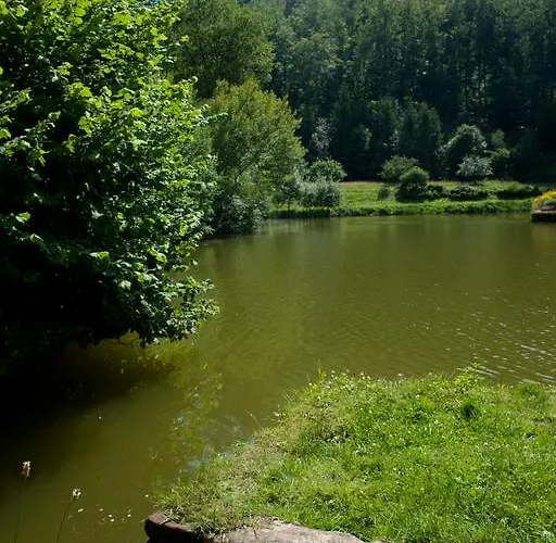 ホテル Logis Hotel-restaurant D'imsthal