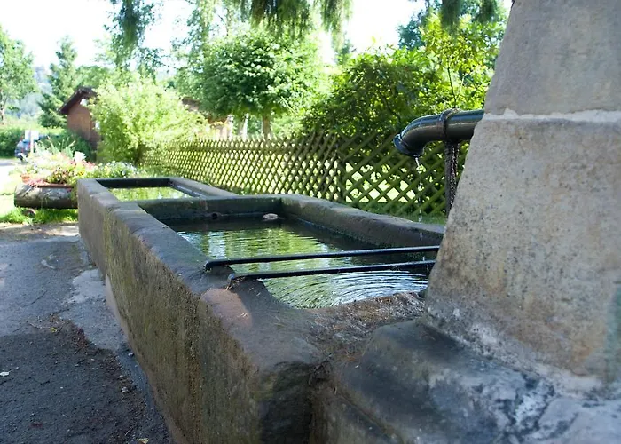 Logis Hotel-restaurant D'imsthal ホテル ラ・プティット・ピエール