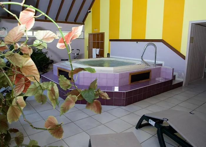 Logis Hotel-restaurant D'imsthal 3*