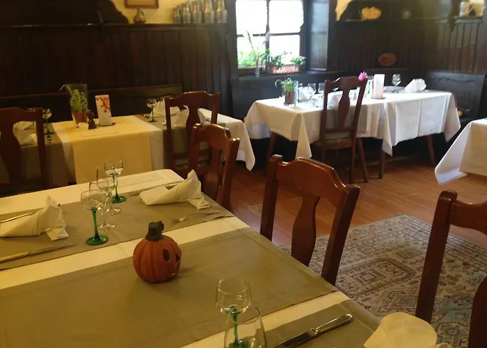 酒店 Logis Hotel-restaurant D'imsthal