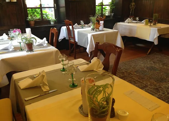 Logis Hotel-restaurant D'imsthal 小皮埃尔