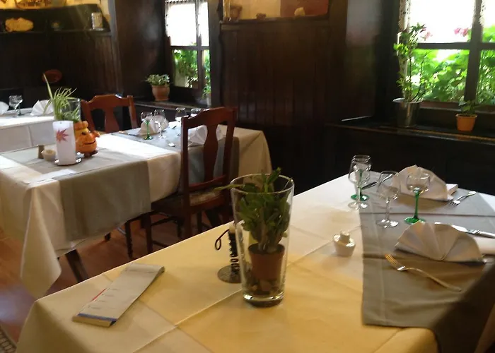 酒店 Logis Hotel-restaurant D'imsthal 3*