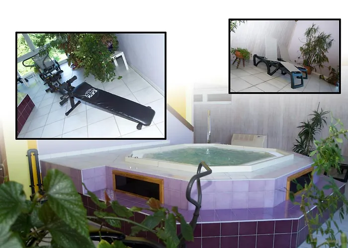 Logis Hotel-restaurant D'imsthal