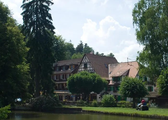 Logis Hotel-restaurant D'imsthal