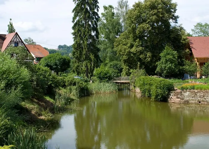 ホテル Logis Hotel-restaurant D'imsthal 3*