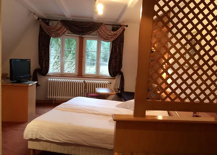 Logis Hotel-restaurant D'imsthal 3*