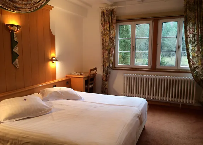 Logis Hotel-restaurant D'imsthal ホテル