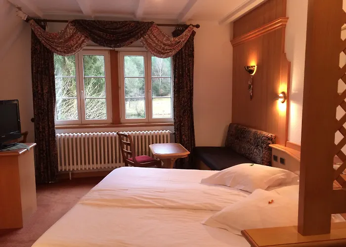 酒店 Logis Hotel-restaurant D'imsthal 3*