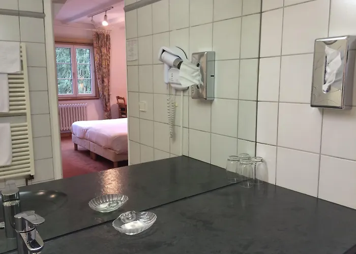 Logis Hotel-restaurant D'imsthal ホテル 3*