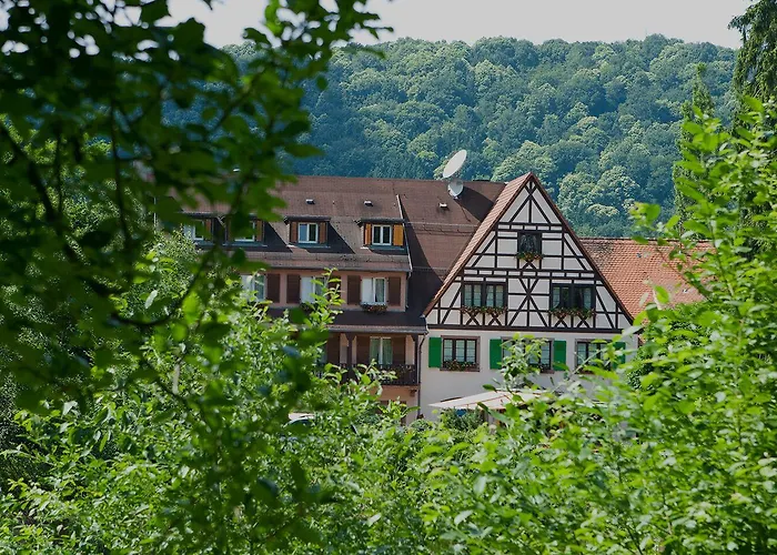 酒店 Logis Hotel-restaurant D'imsthal 小皮埃尔