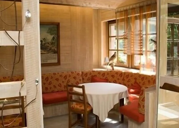 Logis Hotel-restaurant D'imsthal 酒店 小皮埃尔