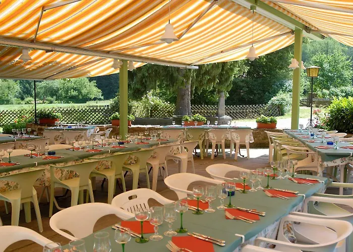 Logis Hotel-restaurant D'imsthal 酒店 3*