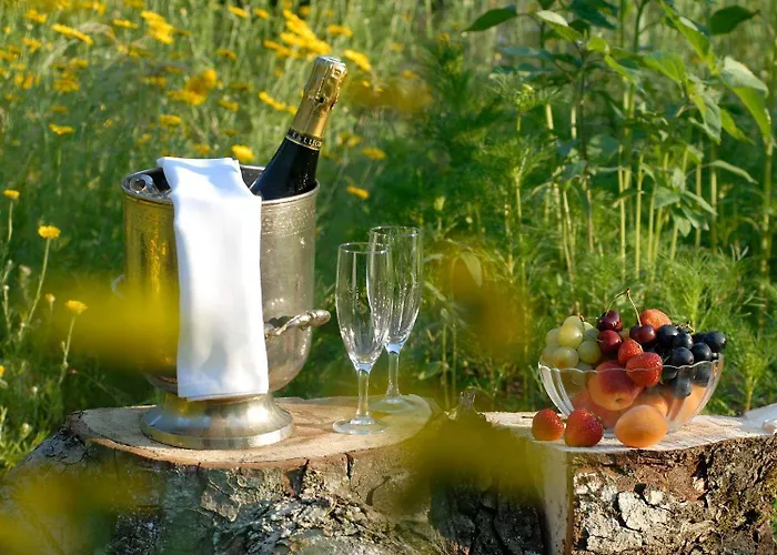 酒店 Logis Hotel-restaurant D'imsthal 3*