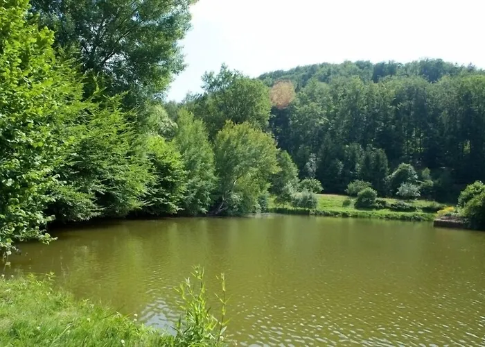 Logis Hotel-restaurant D'imsthal