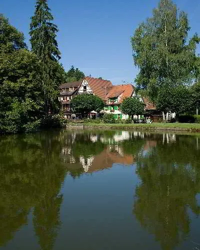 Logis Hotel-restaurant D'imsthal ラ・プティット・ピエール